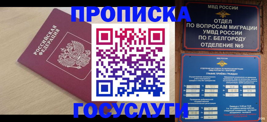 прописка законно в Кореновске